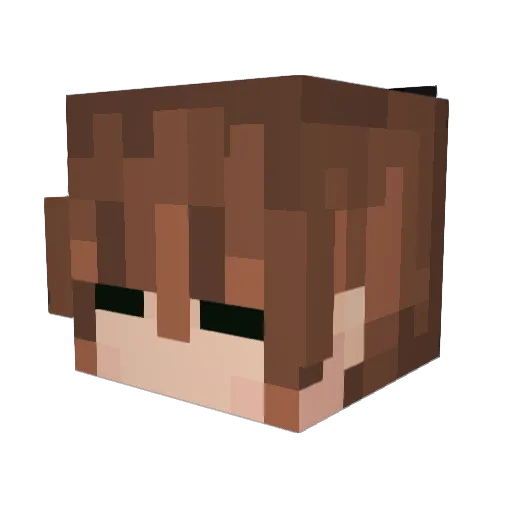 conker_08 Minecraft avatar head, 3D render