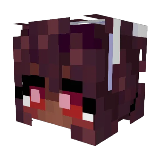 conlin5 Minecraft avatar head, 3D render
