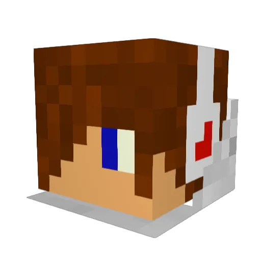 conn556 Minecraft avatar head, 3D render