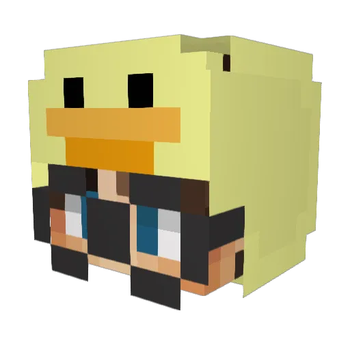 connect5 Minecraft avatar head, 3D render
