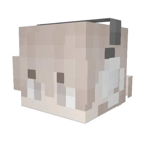 connee Minecraft avatar head, 3D render
