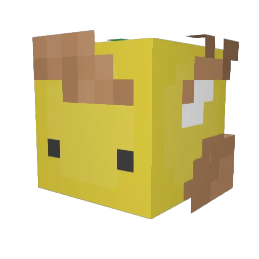 conner0714 Minecraft avatar head, 3D render