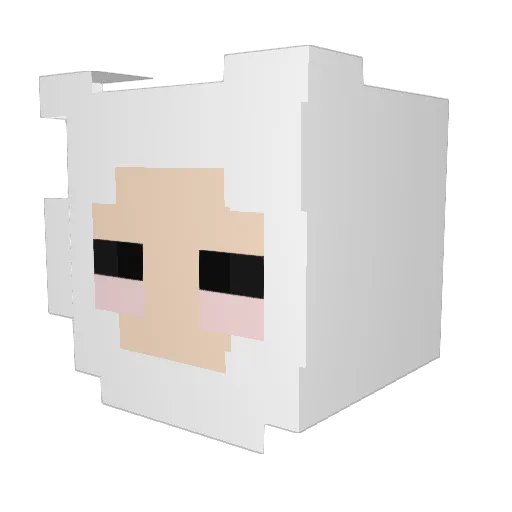 conner232323 Minecraft avatar head, 3D render