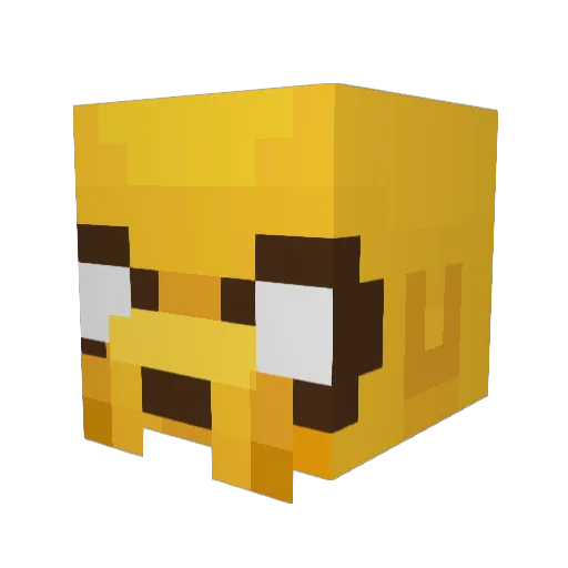 connfi Minecraft avatar head, 3D render