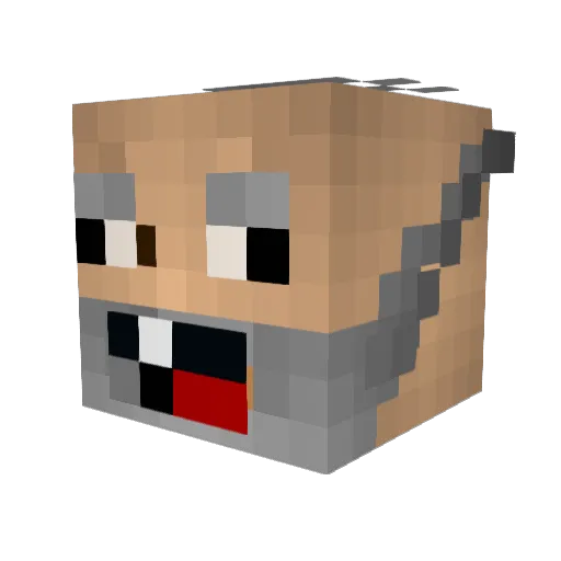 connman425 Minecraft avatar head, 3D render