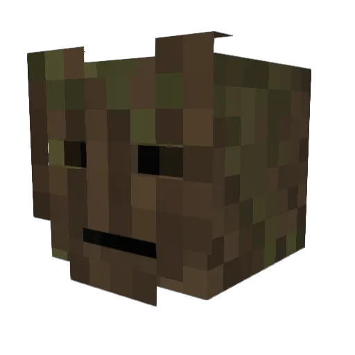 connor2266 Minecraft avatar head, 3D render