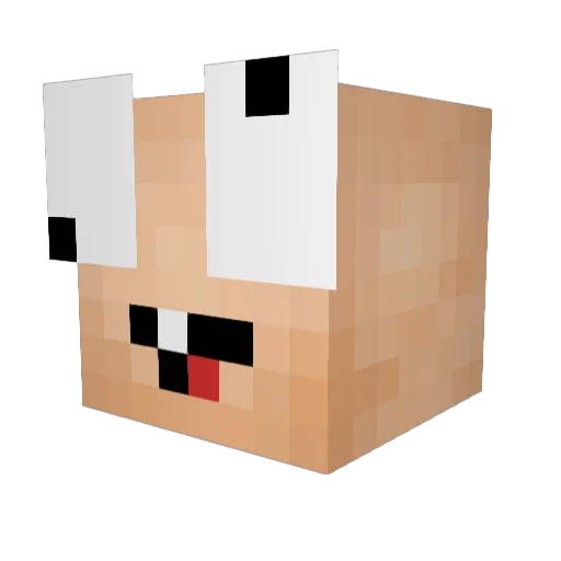 connorbot7777 Minecraft avatar head, 3D render