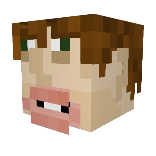 connormcgregor56 Minecraft avatar head, 3D render