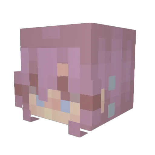 connvoid Minecraft avatar head, 3D render