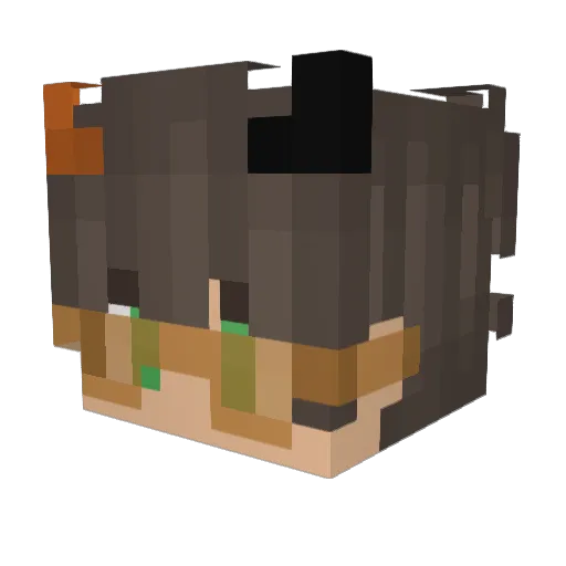 conornadir Minecraft avatar head, 3D render