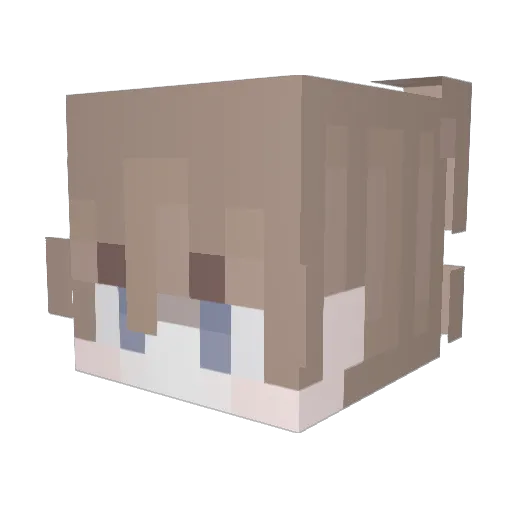 conquest9 Minecraft avatar head, 3D render
