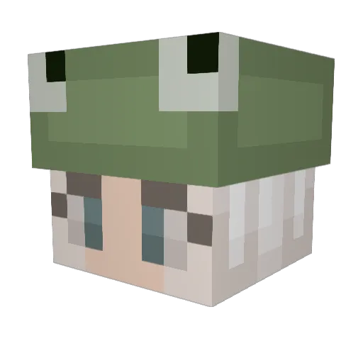 constantlykat Minecraft avatar head, 3D render