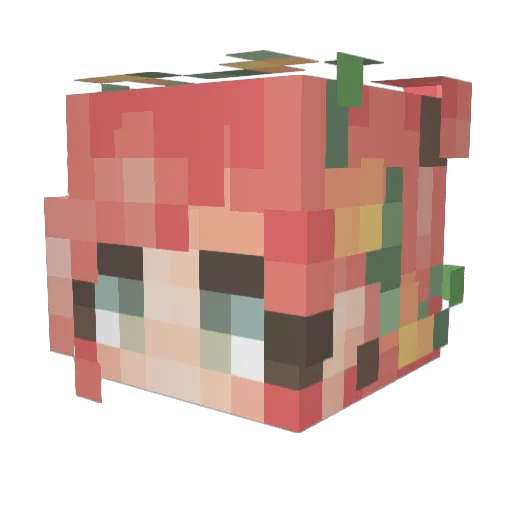 constantnuisance Minecraft avatar head, 3D render