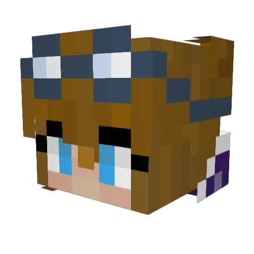 constellytion Minecraft avatar head, 3D render