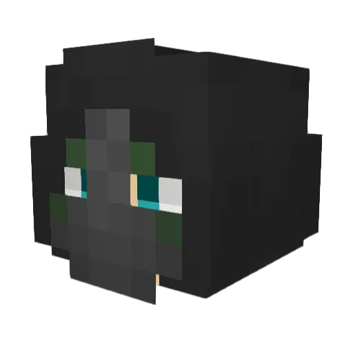 continuity Minecraft avatar head, 3D render