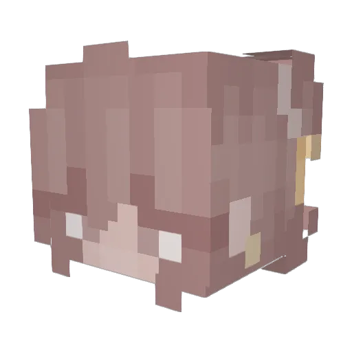 contrabangg Minecraft avatar head, 3D render