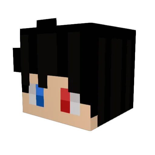 contracel Minecraft avatar head, 3D render