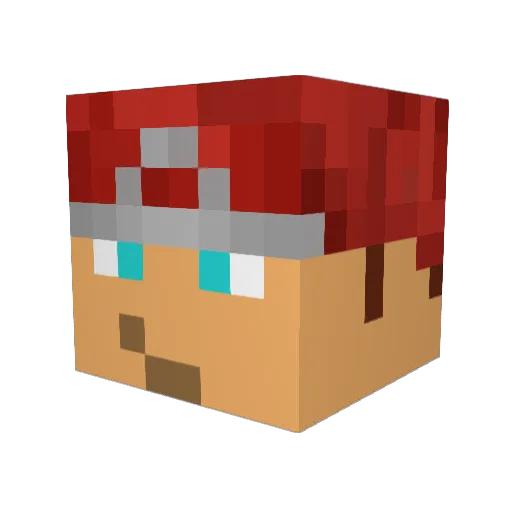 contrapig Minecraft avatar head, 3D render