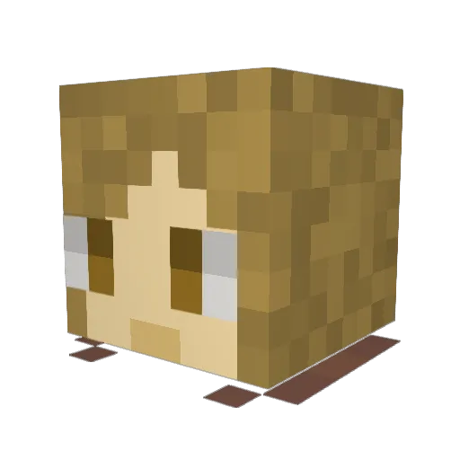 contrasoph Minecraft avatar head, 3D render