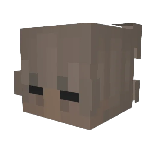 conve Minecraft avatar head, 3D render
