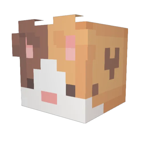 conzueloo Minecraft avatar head, 3D render
