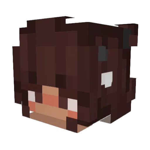 conzyyyy Minecraft avatar head, 3D render