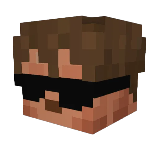 coo1aa Minecraft avatar head, 3D render