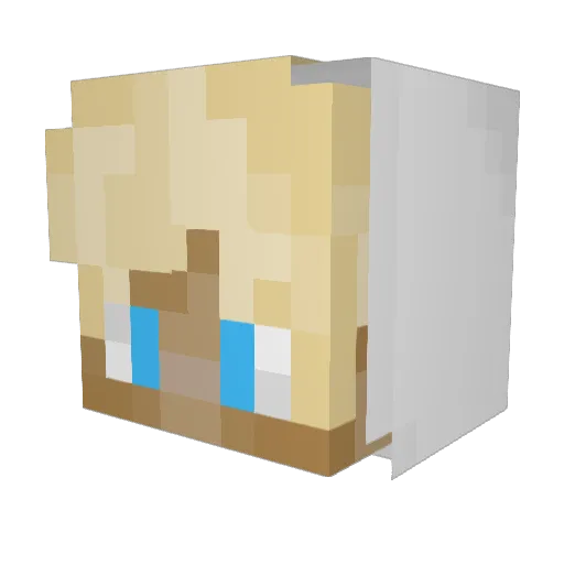 coo1carrot Minecraft avatar head, 3D render