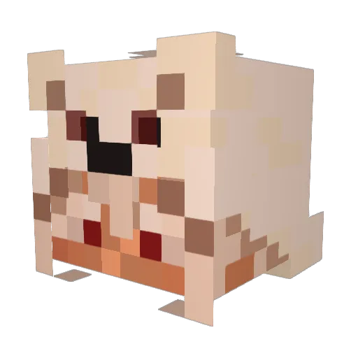 cooIboy13 Minecraft avatar head, 3D render