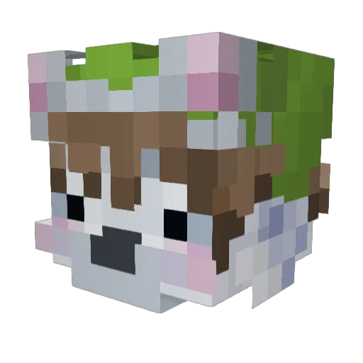 coo_okie Minecraft avatar head, 3D render