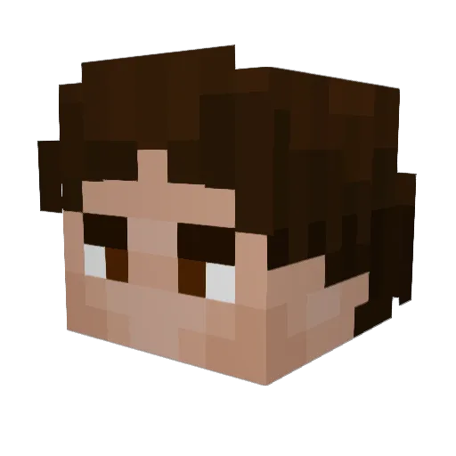 coocatDude Minecraft avatar head, 3D render