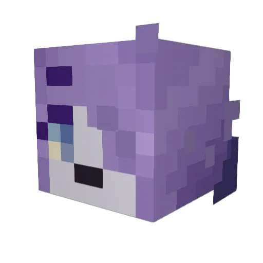 cooch_dog Minecraft avatar head, 3D render