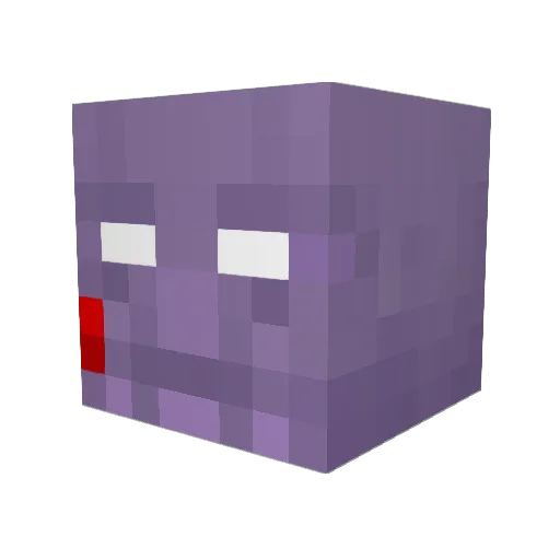 coocheekiller Minecraft avatar head, 3D render
