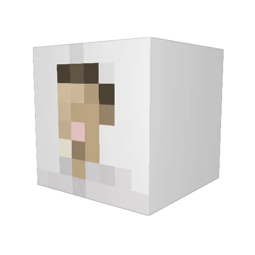coochiequeen69 Minecraft avatar head, 3D render