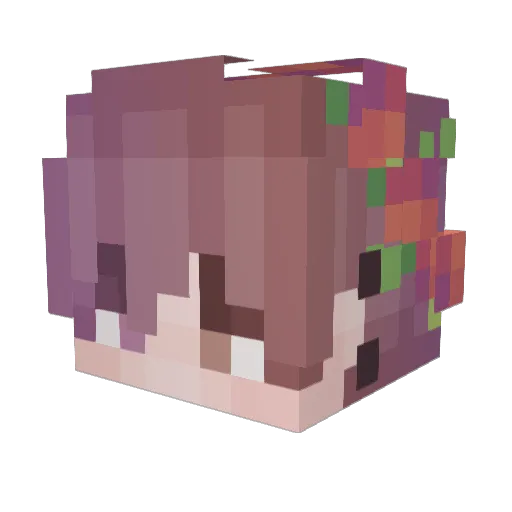 coockie12346 Minecraft avatar head, 3D render
