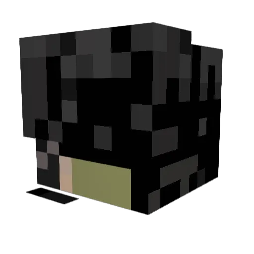 coocoo4coco111 Minecraft avatar head, 3D render
