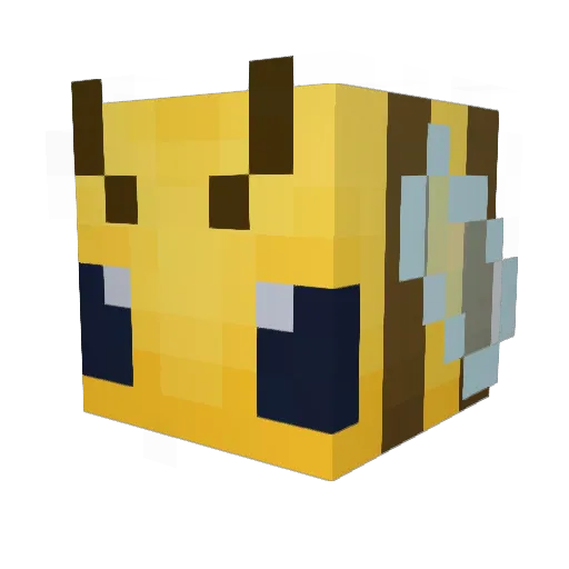 cookd_meat20 Minecraft avatar head, 3D render