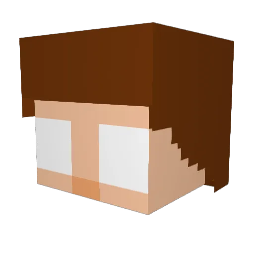 cookedaburra Minecraft avatar head, 3D render