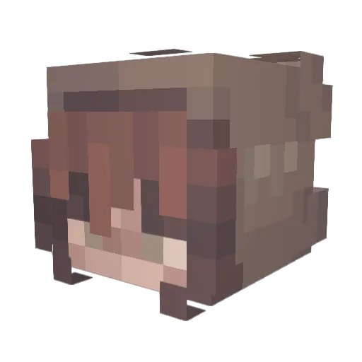 cookedpeach Minecraft avatar head, 3D render