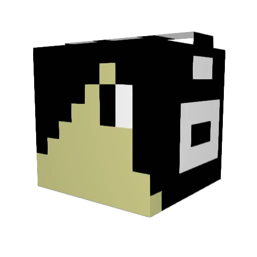 cookeizi9 Minecraft avatar head, 3D render
