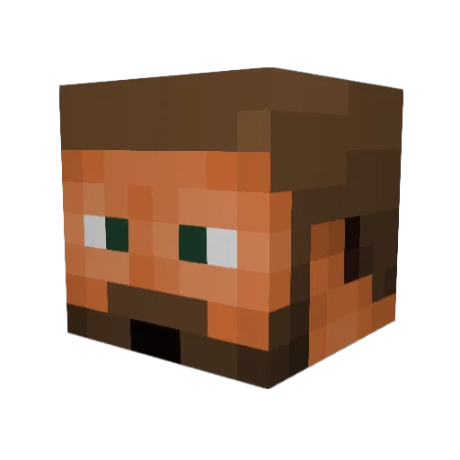 cookie0198 Minecraft avatar head, 3D render