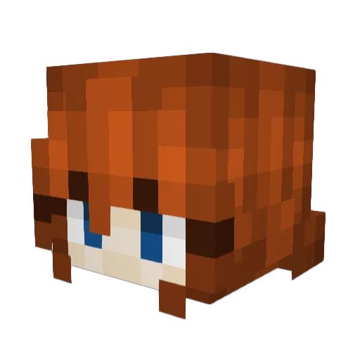 cookie2205bh Minecraft avatar head, 3D render