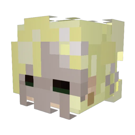 cookie228 Minecraft avatar head, 3D render