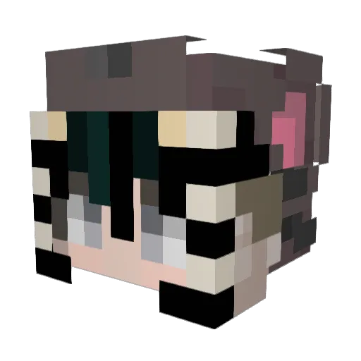 cookie2407lu Minecraft avatar head, 3D render