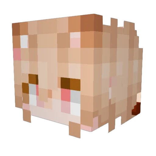 cookie4399 Minecraft avatar head, 3D render