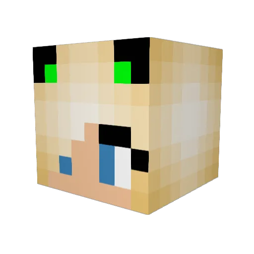 cookie927 Minecraft avatar head, 3D render