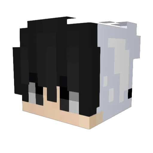 cookie_0309 Minecraft avatar head, 3D render