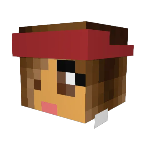 cookie_1201 Minecraft avatar head, 3D render