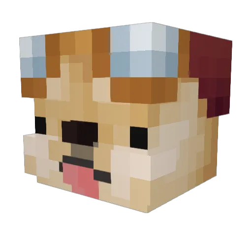 cookie_RICK788 Minecraft avatar head, 3D render