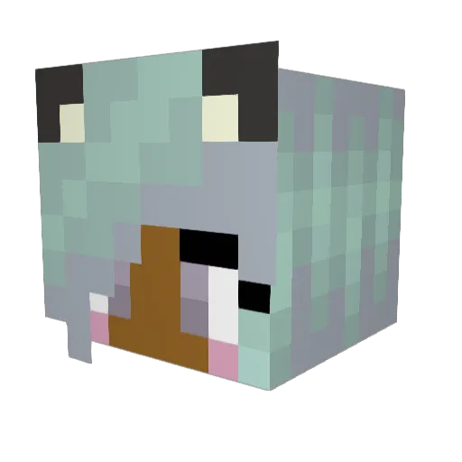 cookie__mooster Minecraft avatar head, 3D render
